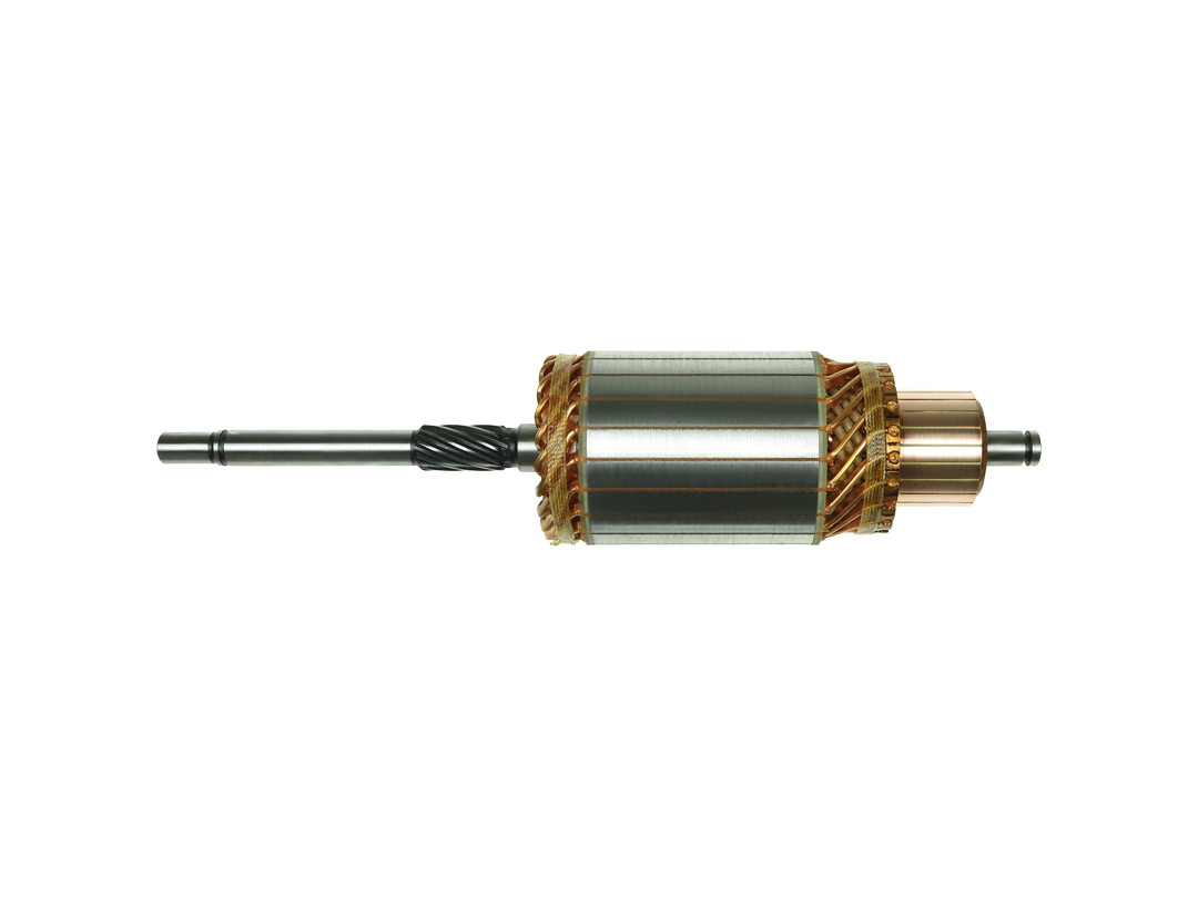Ancorina, Starter - SA0017 AS-PL