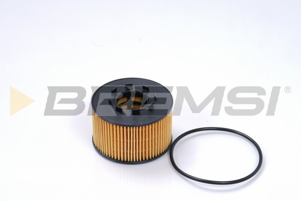 Filtro olio - FL0259 BREMSI