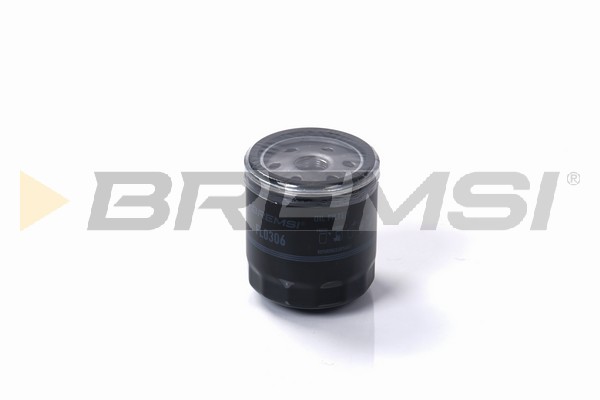 Filtro olio - FL0306 BREMSI