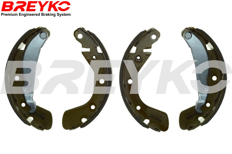 Brake Shoe Set - W8543 DAVID VASCO